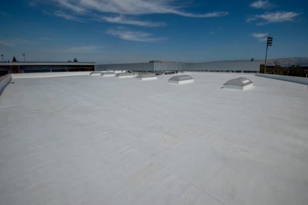 Best Roof Coating and Sealing  in Fosston, MN