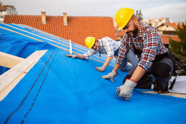 Best Roof Maintenance and Cleaning  in Fosston, MN